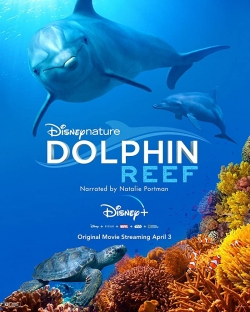 Watch Free Dolphin Reef Movies Full HD Online - Soap2Day