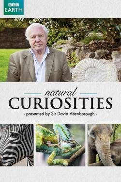 Watch Free David Attenborough's Natural Curiosities Movies Full HD Online - Soap2Day