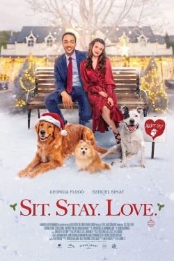 Watch Free The Dog Days of Christmas Movies Full HD Online - Soap2Day