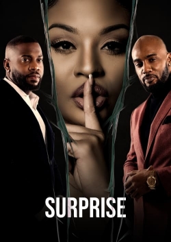 Watch Free Surprise Movies Full HD Online - Soap2Day